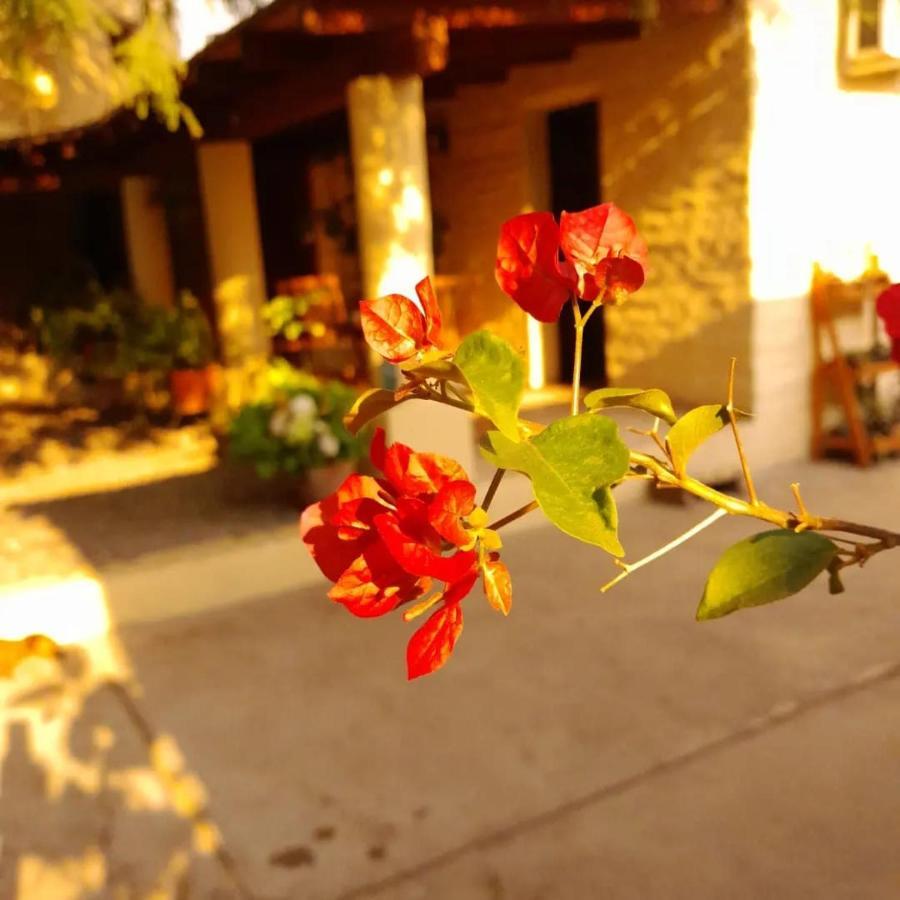 Hostal La Montaña Cafayate Exterior foto
